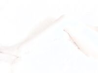 極品網紅美少女嫩妹草莓味的奈奈兔罕露臉高價24套-NO.005 第1季 Vol.04 純白花嫁 [32P]