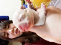 我和愛養泰迪的女友那些風流事 分手後的性生活泄露 內射流精 完美露臉 高清