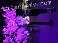 我和愛養泰迪的女友那些風流事 分手後的性生活泄露 內射流精 完美露臉 高清