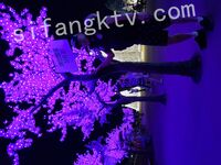 我和愛養泰迪的女友那些風流事 分手後的性生活泄露 內射流精 完美露臉 高清