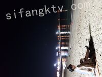 我和愛養泰迪的女友那些風流事 分手後的性生活泄露 內射流精 完美露臉 高清