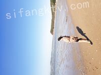 我和愛養泰迪的女友那些風流事 分手後的性生活泄露 內射流精 完美露臉 高清