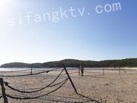 我和愛養泰迪的女友那些風流事 分手後的性生活泄露 內射流精 完美露臉 高清