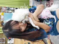 我和愛養泰迪的女友那些風流事 分手後的性生活泄露 內射流精 完美露臉 高清