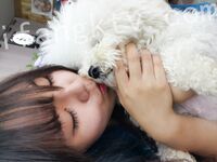 我和愛養泰迪的女友那些風流事 分手後的性生活泄露 內射流精 完美露臉 高清