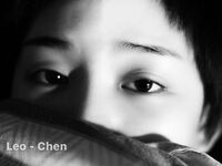 被封已退圈！推特幾十萬粉攝影大咖LeoChen絕頂作品，各種露臉美模小姐姐極限露出調教張張精品