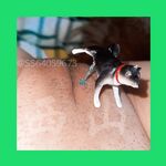 青春無敵 長江後浪推前浪 推特私密圈收集各大網紅小姐姐抖音風變裝BGM裸舞風格奇葩另類