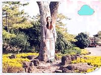 露臉才是王道！我和情婦的那些年 人前高冷嚴厲風韻人妻銀行女經理從婚前到婚後各種不雅自拍