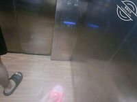 海角社區色女老鼠舔貓咪勾引哥哥亂倫 趁爸媽還沒下班，在沙發上無套強奸哥哥肏死這條小公狗