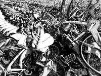 出山就封神！推特超強SM大神【奴印文化】五位御用極品反差女奴推特勁爆調教原版無水印小雲朵-xiaoyunduoya