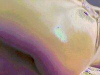 2022最新藏寶圖之舞神一姐『小恩雅』最新定製劇情 頭牌藝妓和客人瘋狂做愛 淫盪誘惑