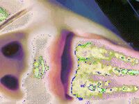 2022最新藏寶圖之舞神一姐『小恩雅』最新定製劇情 頭牌藝妓和客人瘋狂做愛 淫盪誘惑