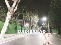 抖音80W粉絲推特網紅超萌蘿莉反差婊一隻喔私拍視圖大量流出人前露出3P喝尿野戰騷中極品