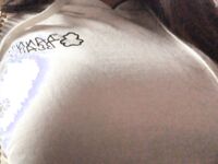 超嫩蘿莉雲集『玉紫醬+甜甜起司桃+貓七小+兔醬』極品翹乳粉穴榨乾你的精華超養眼 yui