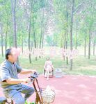 九月精選八位極品少婦反差婊福利姬小集合，喜歡在戶外裸露，讓路邊的大爺們驚呆了faye小肥羊