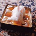 超人氣大神『王動』2022最新重磅私拍 全新嫩模 全裸出鏡 情色藝術完美結合 高清