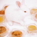 超人氣大神『王動』2022最新重磅私拍 全新嫩模 全裸出鏡 情色藝術完美結合 高清