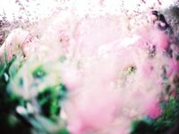 超人氣大神『王動』2022最新重磅私拍 全新嫩模 全裸出鏡 情色藝術完美結合 高清