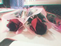 字母界女神『薈萃』帶壞淫戲調教母狗 露出訓犬捆綁 調教金屬光澤閃耀M奴之心 高清