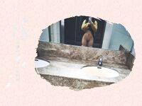 字母界女神『薈萃』帶壞淫戲調教母狗 露出訓犬捆綁 調教金屬光澤閃耀M奴之心 高清