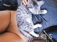 字母界女神『薈萃』帶壞淫戲調教母狗 露出訓犬捆綁 調教金屬光澤閃耀M奴之心 高清