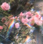 字母界女神『薈萃』帶壞淫戲調教母狗 露出訓犬捆綁 調教金屬光澤閃耀M奴之心 高清