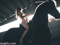 希威社2022.09.15-10.03