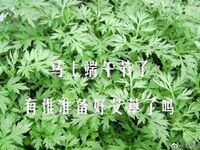 網紅色影大神『野叔+希威社+魔都+抖叔』五星推薦 露出性愛女神亂入 完美露臉 高清