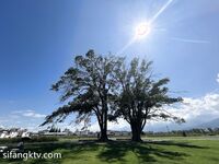 【精品推荐】极品骚气淫荡母狗 开发露脸露点的高颜值女神