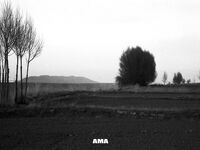 走另類情色唯美路線的攝影大咖AMA女體藝術私拍各種露臉極品反差美模觀感另一種滋味