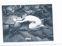 走另類情色唯美路線的攝影大咖AMA女體藝術私拍各種露臉極品反差美模觀感另一種滋味