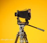 土豪尤物『抖叔』+色影大神『酒月』+頂級女神『希威社』最強七月甄選 視覺盛宴 -Reservoir Dog