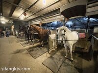 究極核彈 推特39萬粉絲網紅孕婦『雪莉』最強私拍 啪啪露出擠奶全操齊 高清