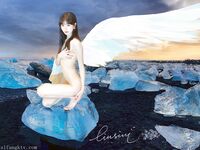 魔都大師級色影大神『抖叔+希威社+野+MISS CC』八月重磅 御用嫩模各種騷 高清-希威社