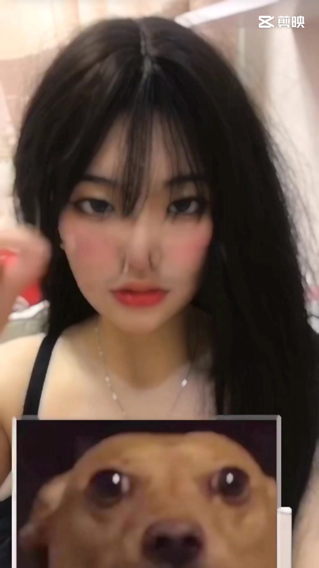 皮皮蝦網紅純欲女神【在下小羊】人前傲女，人後母狗，被金主包養定製私拍各種裸舞紫薇視頻207V (196)