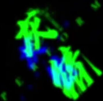 [攝影師ChamberHuijing]灰鏡攝影合集2