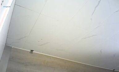 【精選廁拍】奶茶店全景偷拍多位漂亮的妹紙們2  (13)