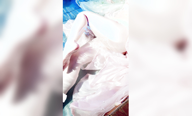 極品Cos爆機少女『喵小吉』十月新作《臨江仙》超美幻風美乳 原版私拍81P 超清短花絮4K