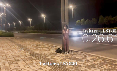 最新推特七位人氣蘿莉女主露出私拍 戶外野戰全裸路邊翹美臀後入啪啪林淑怡 (6)