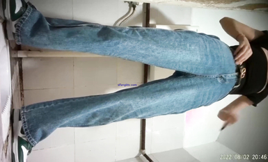 十一月最新流出顶级新品  正面全景厕拍气质高雅的眼镜美女4K高清版