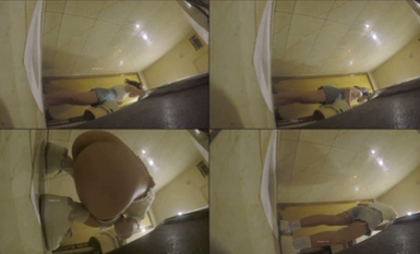 十一月最新流出私房偷拍大神 晓月原创朋友聚会KTV厕拍03-网红脸+香菜妹妹