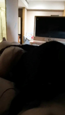 真槍實彈玩肏車模、外圍、空姐反差騷母狗~推特實力大神Myyy369約炮私拍~調教毒龍水戰各種後入 (5)