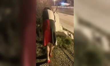 推特獵奇圈福利視圖重磅來襲第八季【公共場所露出戶外啪啪啪各種極限淫亂行為挑戰】 (10)