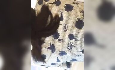 【真實空姐】各大航空美麗空姐 不欲人知的真實反差 (73)