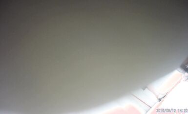 無任何水印4K原版 經典之作 電子廠八月份整理合集 (8)