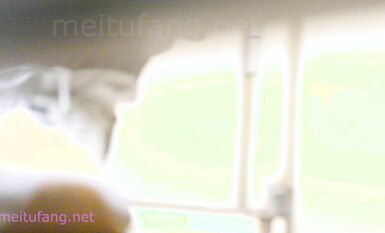 TW優品老麥系列 某小吃店蹲拍,漏鮑露臉,聲音清晰第58期 (2)