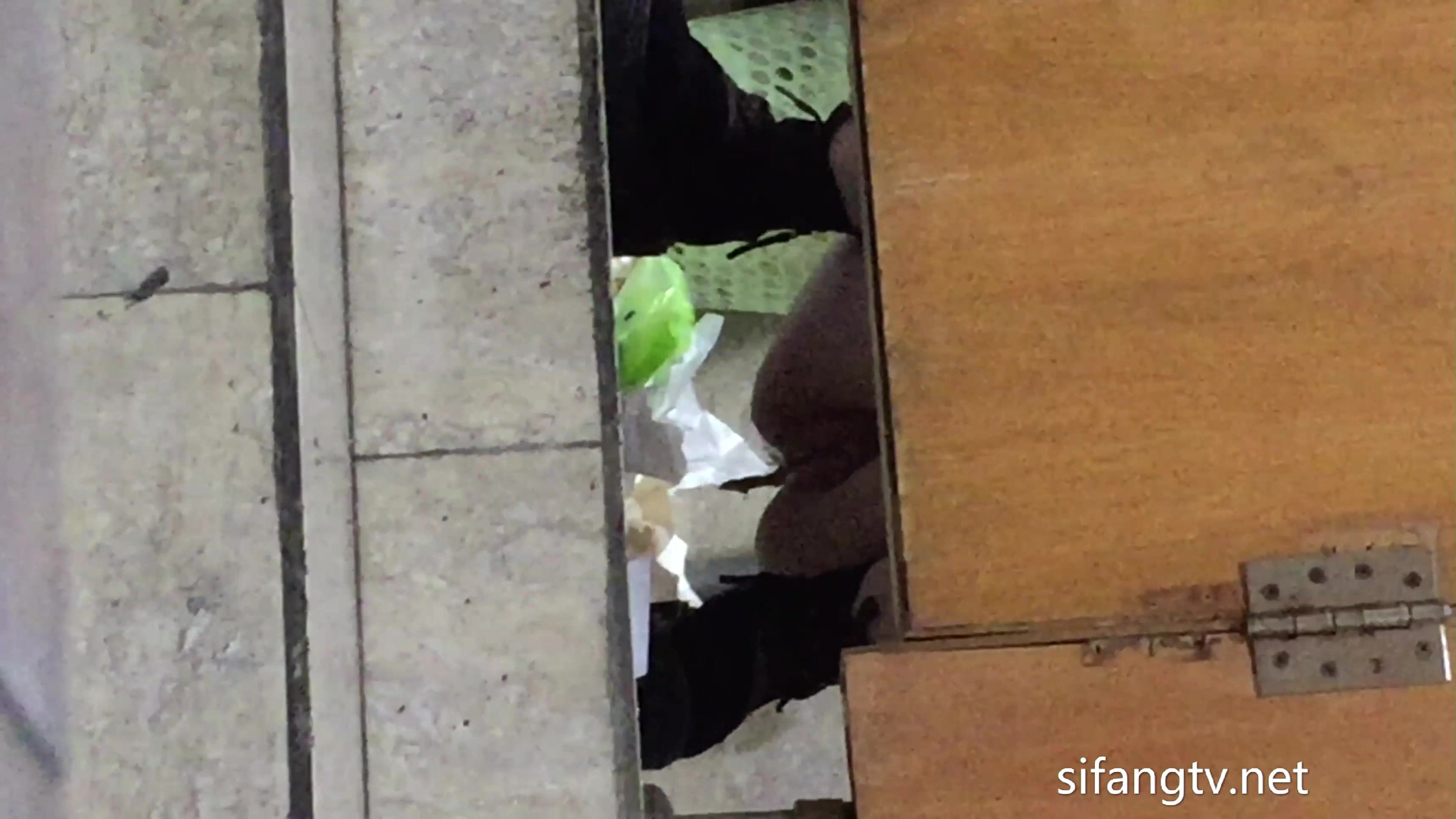 廁拍精品模特公司 女廁偷拍美女模特噓噓 個個都是高顏值美女顏值堪比明星 (6)