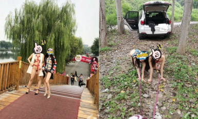 頂級調教大神『帝都金領S』最新調教視頻，雙飛姐妹花 商場露出 人前調教，別人眼裡的女神在金主面前就是條小母狗 (2)