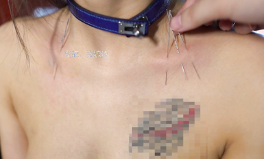 宗師級玩家SM界塔尖反差婊女奴【張婉依】地獄式重度調教乳頭穿釘、抽逼、電擊各種整活 (16)