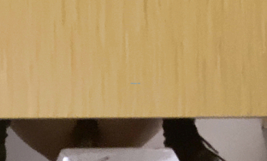 作死廁拍大神 商場美食層蹲守公共女衛連續偸拍多位小姐姐方便 (12)